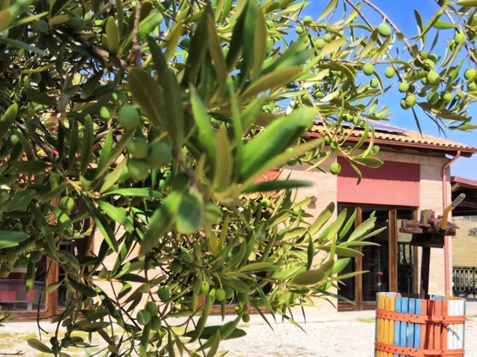 Morro dʼOro Country House Torrenera المظهر الخارجي الصورة